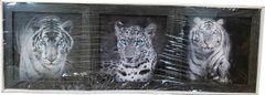 Набір картин-репродукцій "Леопард" (21 x 21 см, 3 шт.) RP0037