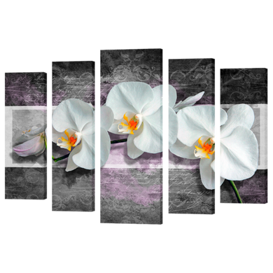 Модульная картина на 5 частей "Орхидея" (80 x 120 см) 454, 80 x 120, от 101 см и более
