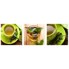 Триптих на холсті "Зелений чай" (30 x 30 см, 3 шт) TO-144, 30 x 30, до 50 см