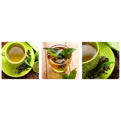 Триптих на холсте "Зеленый чай" (30 x 30 см, 3 шт) TO-144, 30 x 30, до 50 см