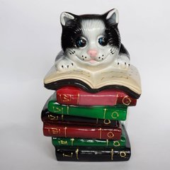 Копілка "Кіт на книгах" (16 x 16 x 28 см) FSK013