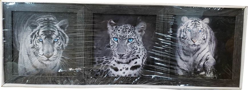 Набор картин-репродукций "Леопард" (21 x 21 см, 3 шт.) RP0037, 21 x 21, до 50 см