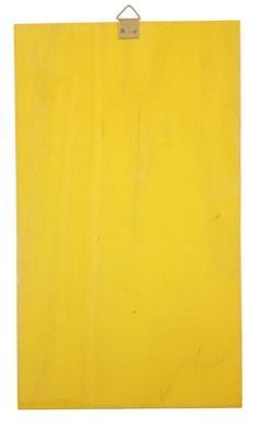 Декоративна настінна шафка з тематичним жовтим декором (26 x 16 x 6 см) IND001