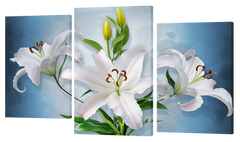 Модульна картина на 3 частини "Квіти" (55 x 100 см) 242, 55 x 100, від 51 до 100 см