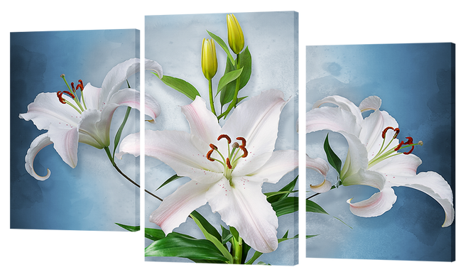 Модульная картина на 3 части "Цветы" (55 x 100 см) 242, 55 x 100, от 51 до 100 см
