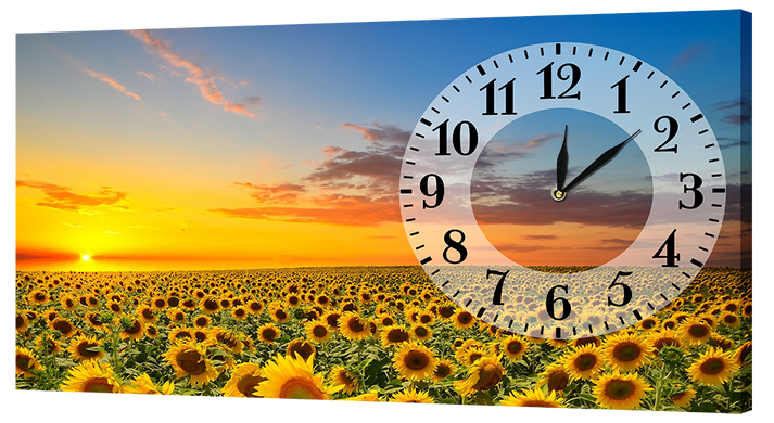 Настінний годинник на полотні "Поле соняшників" (30 x 53 см) CP16